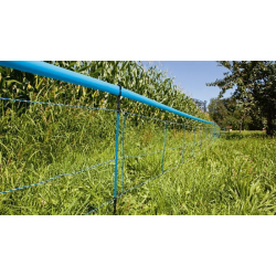 Rete recinti cinghiali