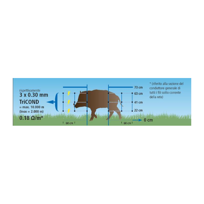 Rete recinti cinghiali