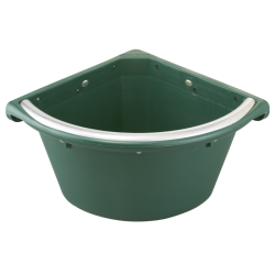 Mangiatoia angolare verde