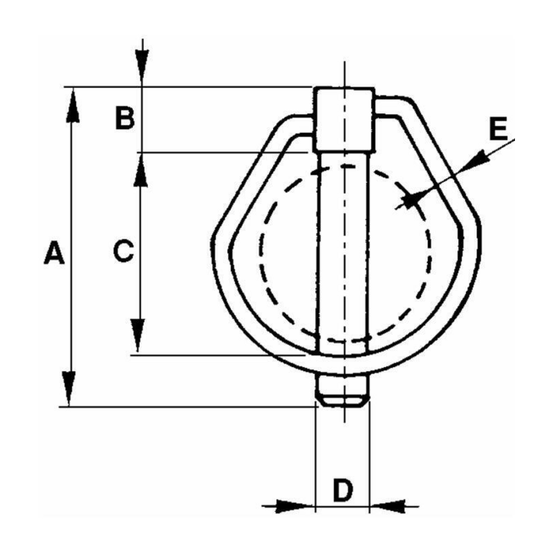 SPINA SCATTO OVALE Ø5X46MM