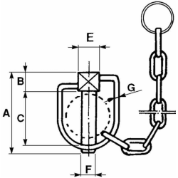 SPINA A SCATTO Ø10 CON CATENELLA DI FISSAGGIO