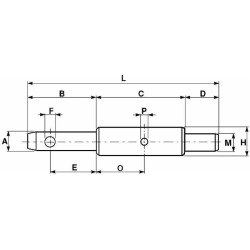 PERNO ADATT.LAMBORGHINI Ø22-30-20
