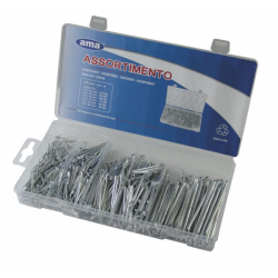 ASSORTIMENTO 555 COPPIGLIE