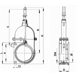 SARACINESCA A STANTUFFO 6"