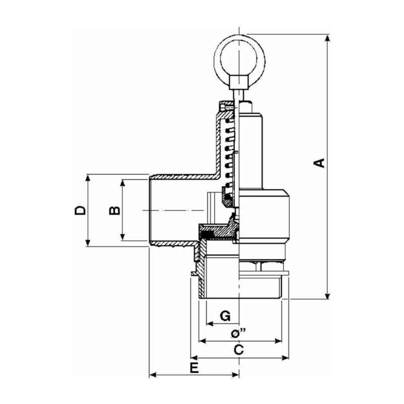 VALVOLA DI SICUREZZA CON PORTAGOMMA 1"1/4