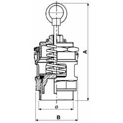 VALVOLA DI SICUREZZA 2"