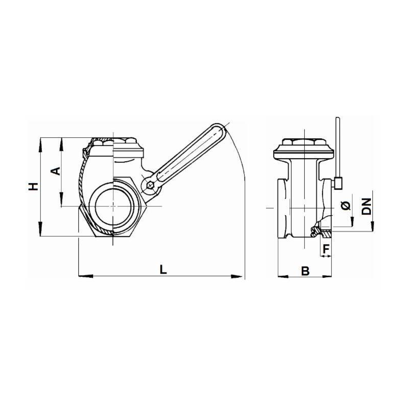 SARACINESCA A LEVA 2"