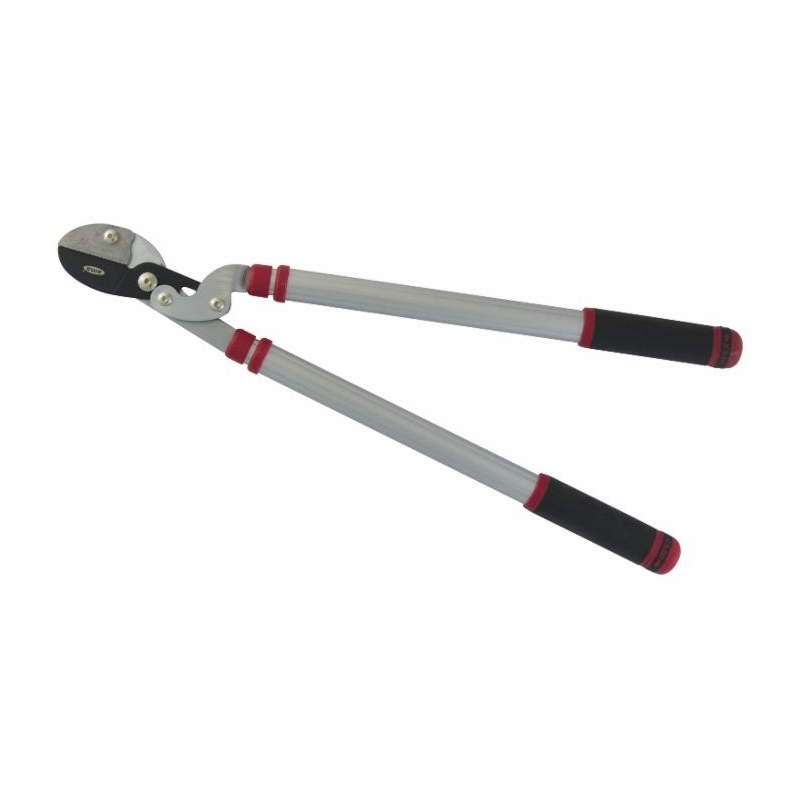 TRONCARAMI PROFESSIONALE CON LAME A BATTENTE E MANICI TELESCOPICI