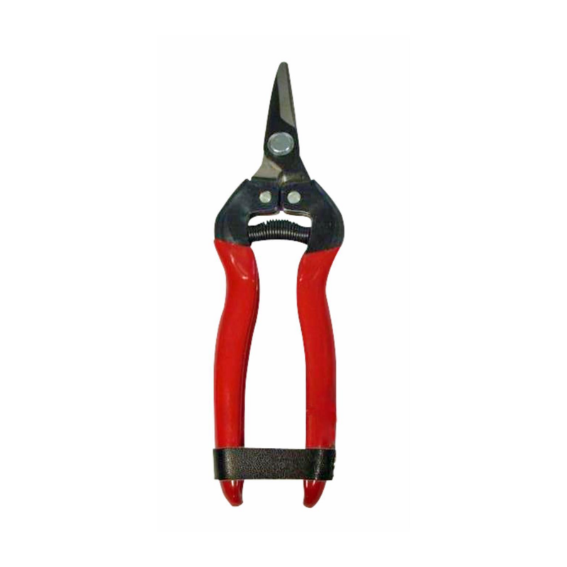 FORBICE DA VENDEMMIA 165 MM