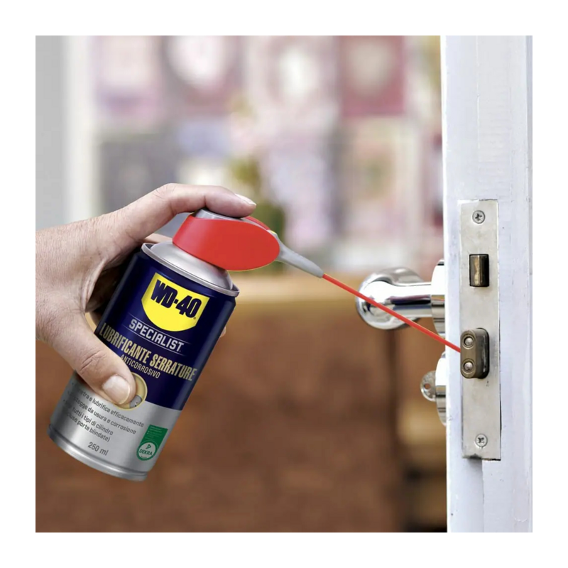 WD40 lubrificante serrature Ml250