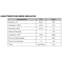 OLIO MOTORE 5W30 XP-LINE - 1lt