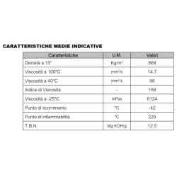 OLIO MOTORE 10W40 XP-LINE - 1lt