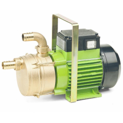 ELETROPOMPA AUTOADESCANTE BISENSO PER TRAVASO, 30 L