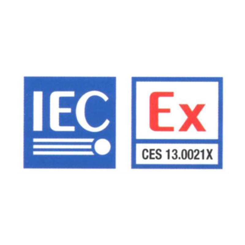 CONTALITRI ATEX K24 - BENZINA