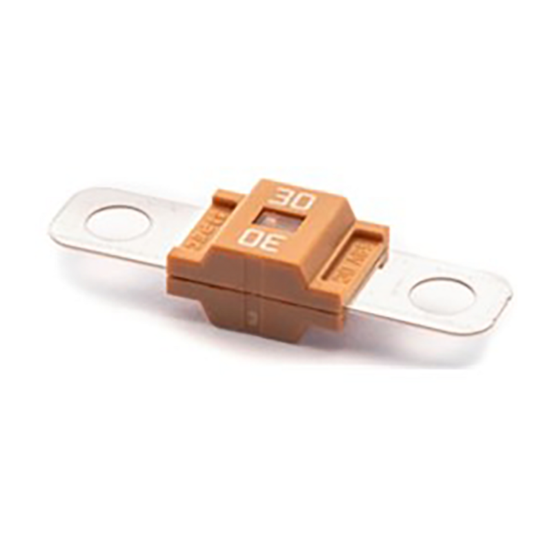 Set da 10 fusibili tipo Midscrew da 30A