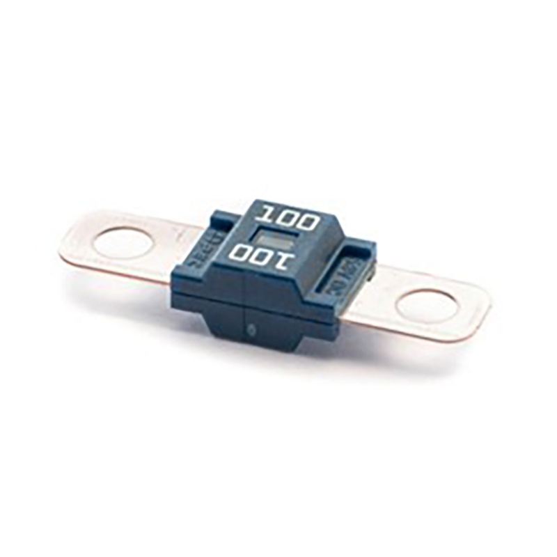 Set da 10 fusibili tipo Midscrew da 100A