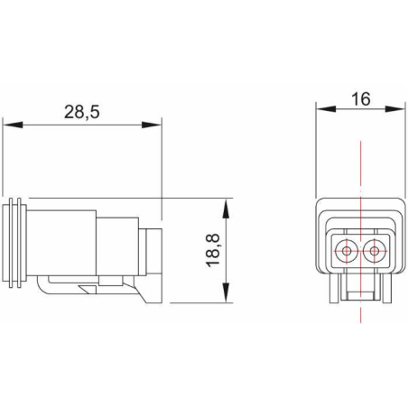 CONNETORE E PIASTRINA SPINA 2POLI  CONNEX