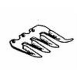 PRIMO DENTE COMPLETO