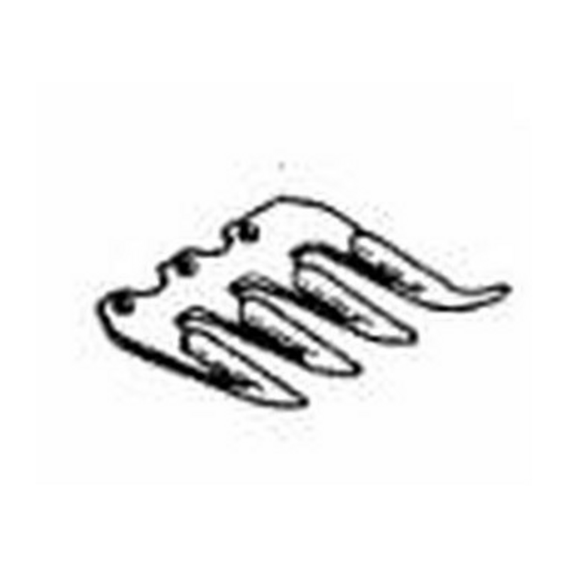 PRIMO DENTE COMPLETO