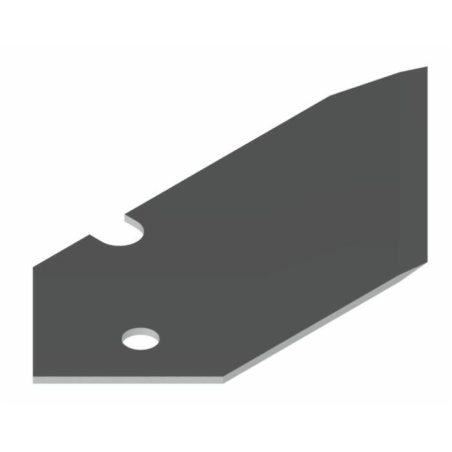 Lama a ricambio per taglierina