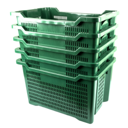 CASSETTA MULTIUSO APERTA, COLORE VERDE