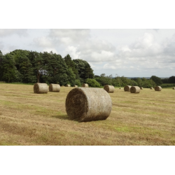 RETE PER ROTOPRESSA 123CM X 2000M