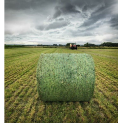 RETE PER ROTOPRESSA 123CM X 3000M CROSS XP