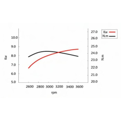 Motore XP380 a 4 tempi OHV 382cc. 11,5hp