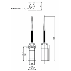 INTERRUTTORE  DI POSIZIONE AD ASTA A MOLLA CON PUNTALE