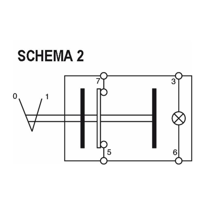 PULSANTE PNEUTRON 12V  FARO LAVORO
