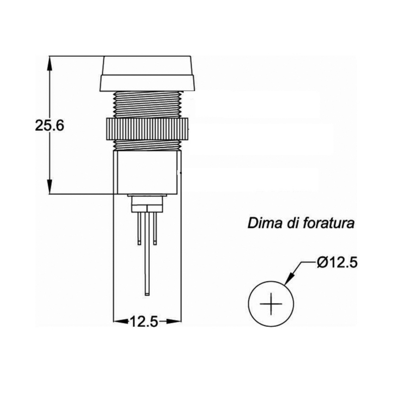 SPIA VERDE LUCI DI DIREZIONE