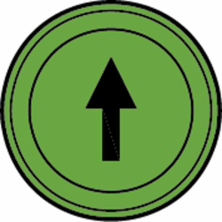 SPIA VERDE INDICATORE DI DIREZIONE