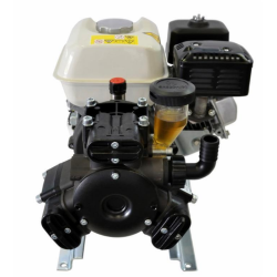 GRUPPO MOTOPOMPA APS41 MOTORE A SCOPPIO