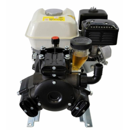 GRUPPO MOTOPOMPA APS41 MOTORE A SCOPPIO