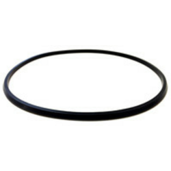 GUARNIZIONE SPECIALE ANELLO D.255