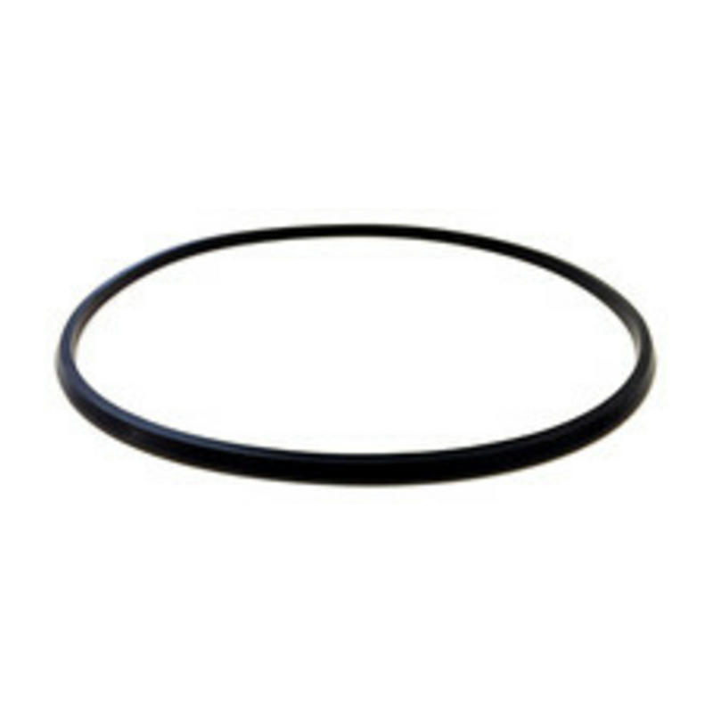 GUARNIZIONE SPECIALE ANELLO D.255