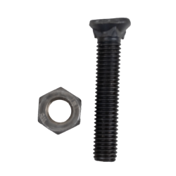 BULLONE TESTA OVALE 10X55