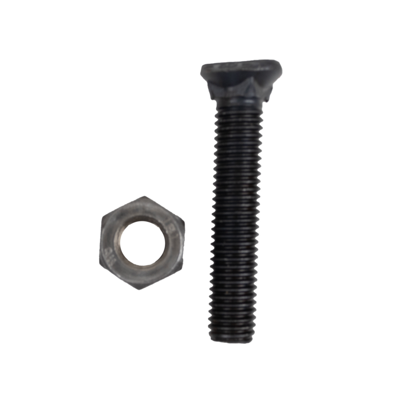 BULLONE TESTA OVALE 10X55