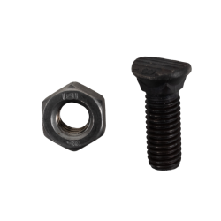 BULLONE TESTA OVALE 10X30