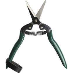 FORBICE PER VENDEMMIA