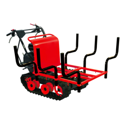 CASSONE PORTALEGNA X 90903