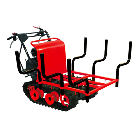 CASSONE PORTALEGNA X 90903