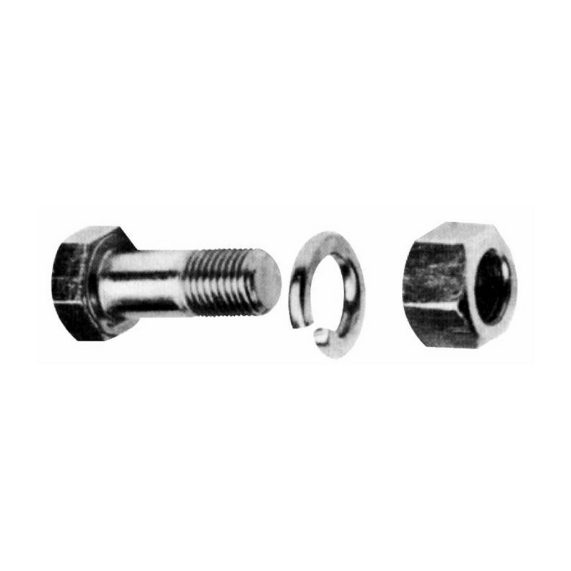 BULLONE TESTA ESAGONALE 10X30X1,5