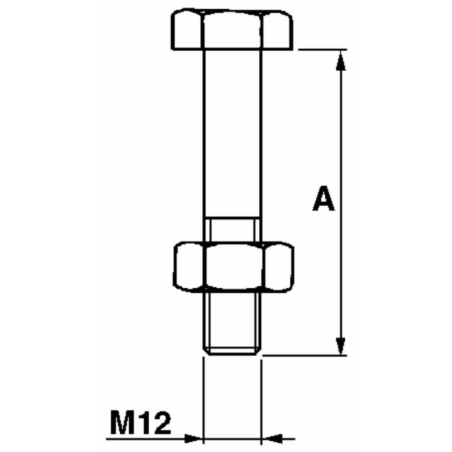 BULLONE T.E. 12X50 PER STAFFE