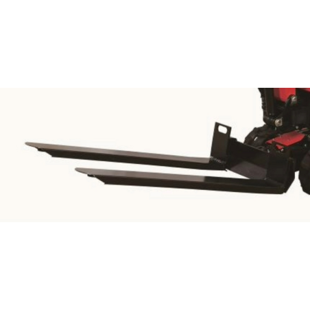 Forche pallet PER EAG100T