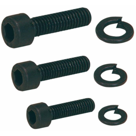 VITE BRUGOLA DA 1/4-20X20 WITHWORTH