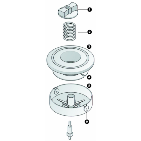 PARTE INF.PER TESTINA DECESP.