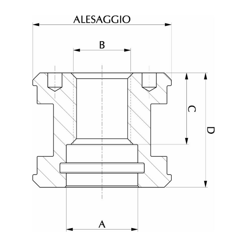 PISTONE AL.60 FIL.24x2 L.42