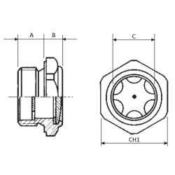 SPIA LIVELLO OLIO DA 1/2”