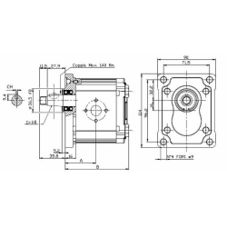 POMPA AD INGRANAGGI GRUPPO 2 DA 25,1cc DESTRA “MADE IN ITALY”
